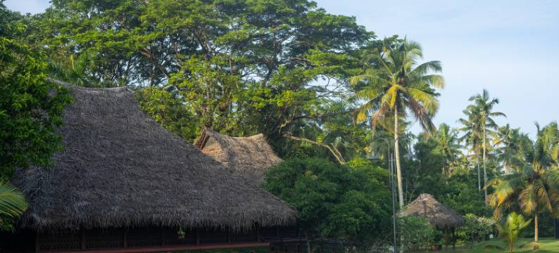 玛雅丽海滩 - 席格地球(Marari Beach Resort Alleppey- a CGH Earth Experience)图片