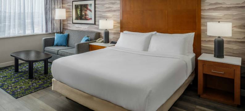 罗彻斯特希尔顿逸林酒店(DoubleTree by Hilton Hotel Rochester)图片