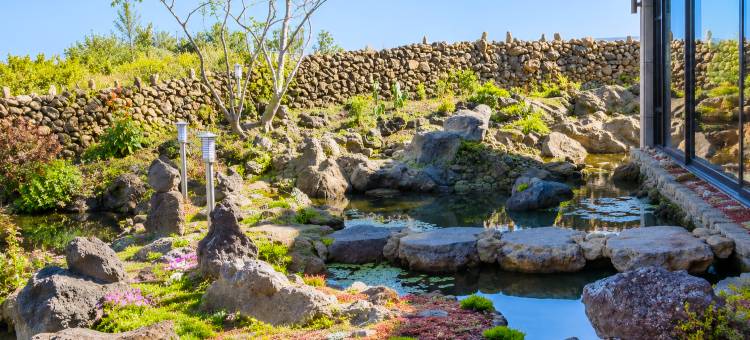 济州岛Feeling度假村(Jeju Blue Els Spa & Pool Pension)图片