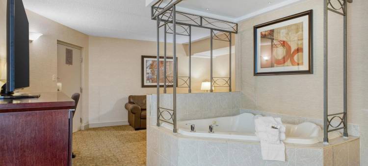 市中心贝斯特韦斯特优质酒店(Best Western Plus City Centre Inn)图片