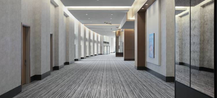洛伊斯芝加哥奥黑尔酒店(Loews Chicago O'Hare Hotel)图片