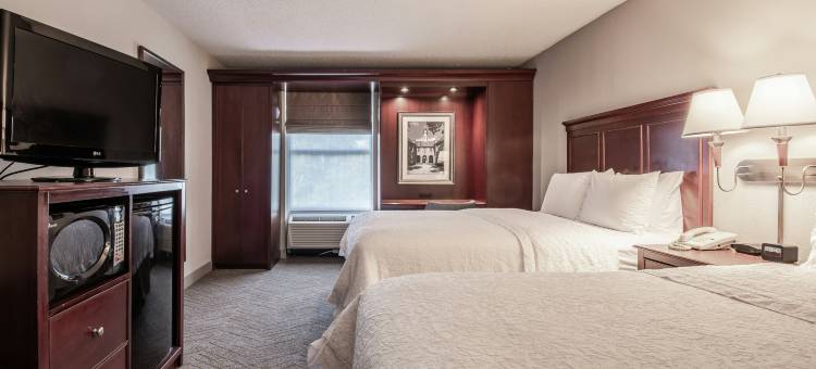 威廉斯堡里士满路欢朋套房酒店(Hampton Inn & Suites Williamsburg-Richmond Road)图片