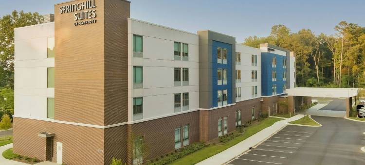 夏洛特亨特斯维尔SpringHill Suites酒店(SpringHill Suites Charlotte Huntersville)图片