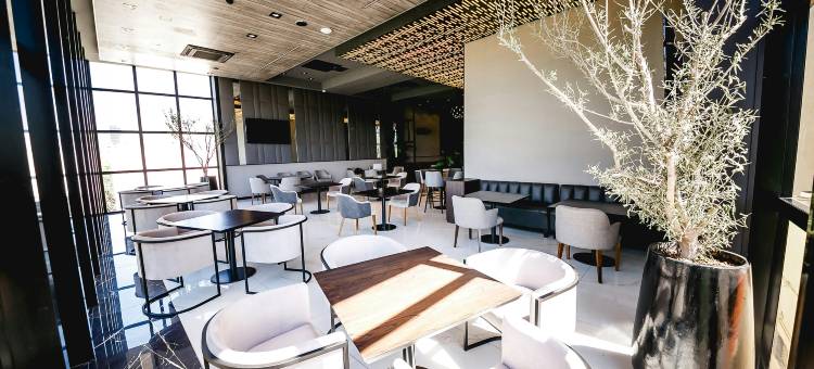希尔顿花园酒店圣地亚哥-德尔埃斯特罗(Hilton Garden Inn Santiago del Estero)图片