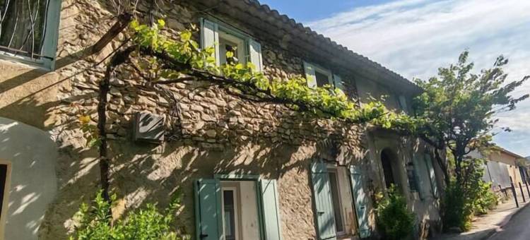 瓦松之家(La Maison de Vaison)图片