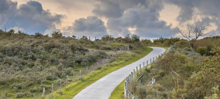 弗莱彻酒店(Fletcher Duinhotel Hotel Burgh Haamstede)图片