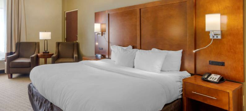 舒适酒店哥伦布近本宁堡(Comfort Inn Columbus Near Fort Moore)图片