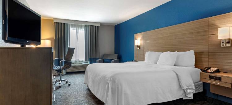 曼斯费尔德舒适套房酒店(Comfort Inn & Suites Mansfield)图片