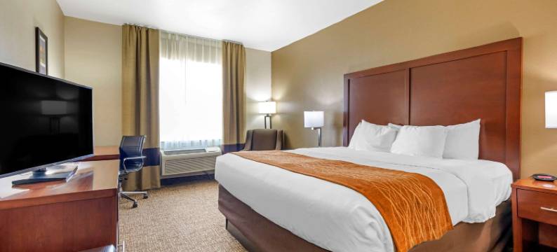 舒适酒店-近UNT(Comfort Inn Near UNT)图片