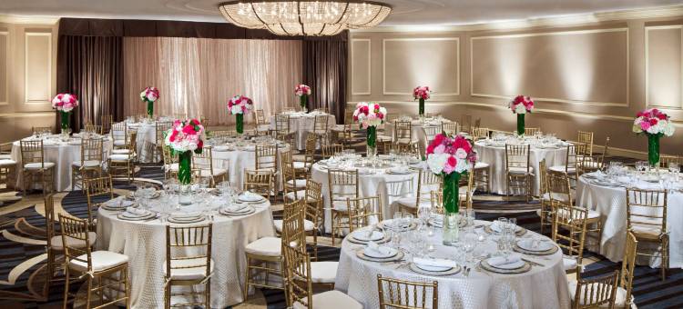 亚历山德里亚马克中心希尔顿酒店(Hilton Alexandria Mark Center)图片
