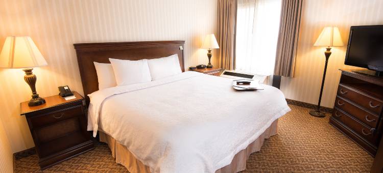 卡尔斯塔特欢朋酒店-梅多兰兹(Hampton Inn Carlstadt at The Meadowlands)图片