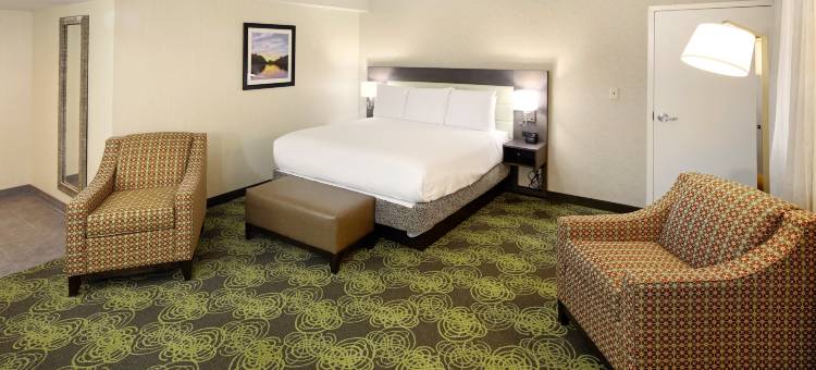 里根国家机场希尔顿花园酒店(Hilton Garden Inn Reagan National Airport)图片