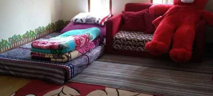 Full House at Homestay Cemara Dieng Syariah图片