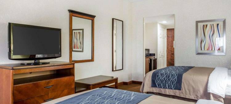 科尼尔斯舒适酒店(Comfort Inn)图片