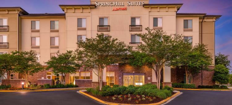 南拉斐特里弗兰奇万豪SpringHill酒店(SpringHill Suites Lafayette South at River Ranch)图片
