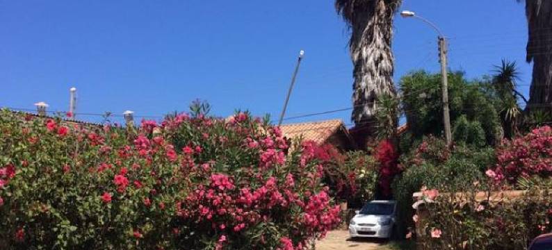 洛斯莫耶斯卡班尼亚斯宾馆(Cabañas Los Molles)图片