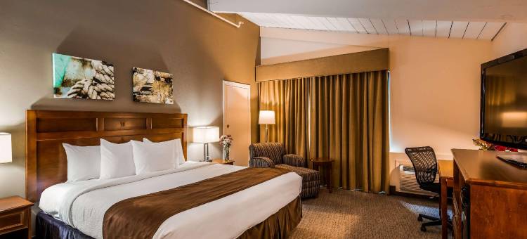 亚当斯贝斯特韦斯特酒店(Best Western Adams Inn Quincy-Boston)图片