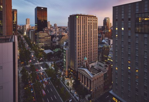 Holiday Inn Express Osaka City Centre - Midosuji Over view