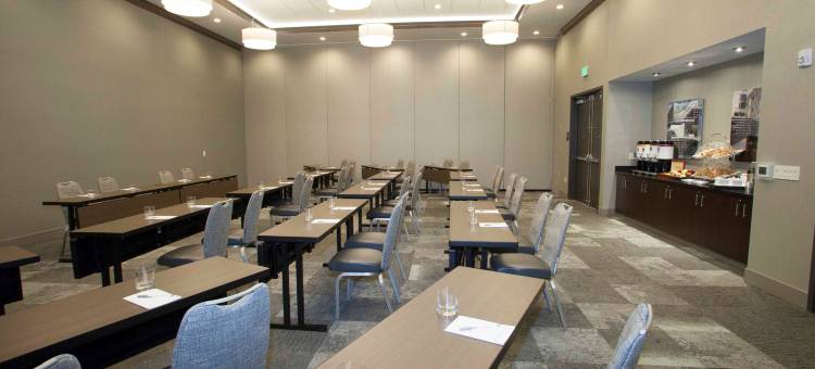 圣保罗市中心欢朋套房酒店(Hampton Inn & Suites St. Paul Downtown)图片