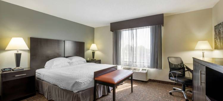 奥马哈机场贝斯特韦斯特优质酒店(Best Western Plus Omaha Airport Inn)图片