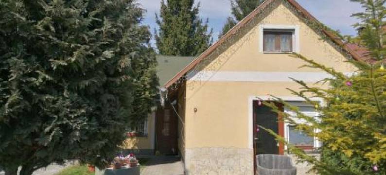 Gergely Vendeghaz图片