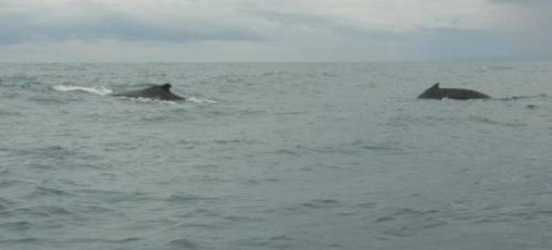 Paraiso Escondido图片