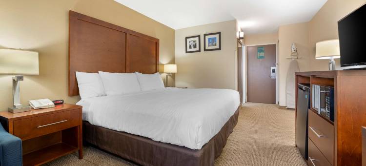 舒适酒店及套房印第安纳波利斯西北 - 学院公园(Comfort Inn & Suites Indianapolis Northwest - College Park)图片