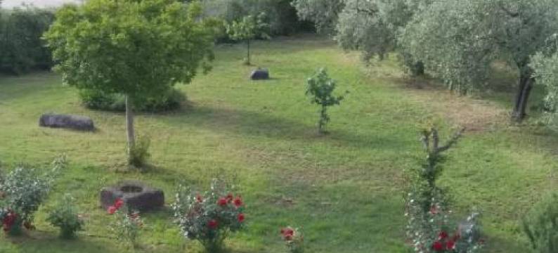 Casa Vacanze le Rose图片