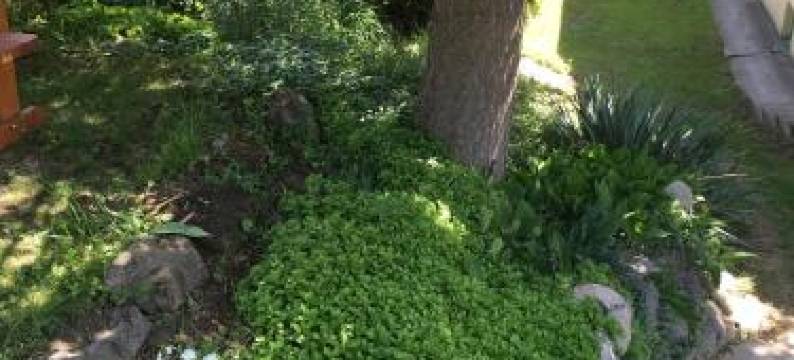 保古莱公寓(Bogoly Apartman)图片