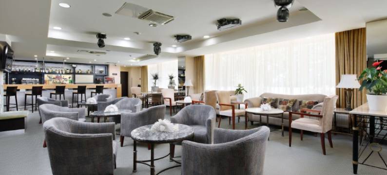 热列兹诺沃德斯克广场Spa度假酒店(Plaza Spa)图片