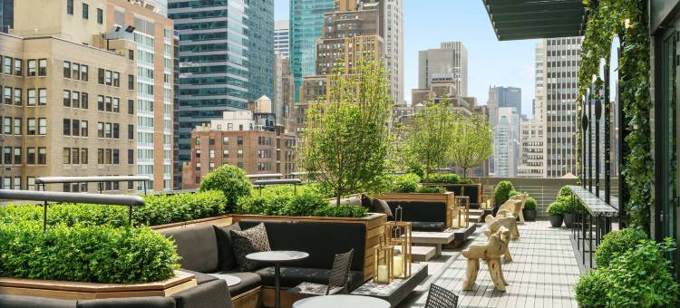 纽约时代广场万豪 AC 酒店(AC Hotel New York Times Square)图片