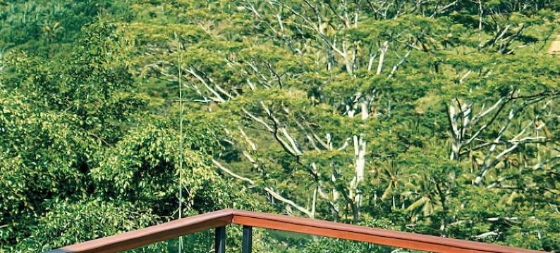 库普库普巴龙洛奇塔内特里Spa别墅度假村(Kupu Kupu Barong Villas & Tree Spa)图片