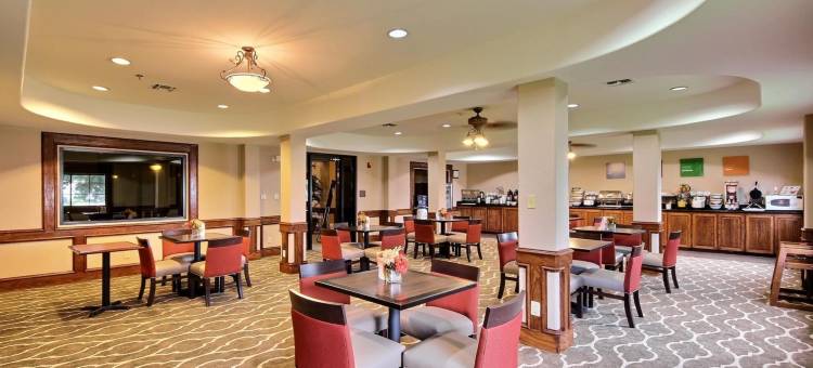 舒适酒店-爱丁堡南(Comfort Inn Edinburg South)图片