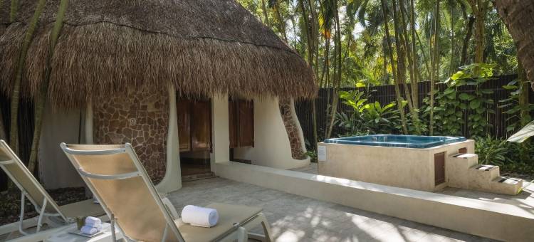 Iberostar Cozumel图片