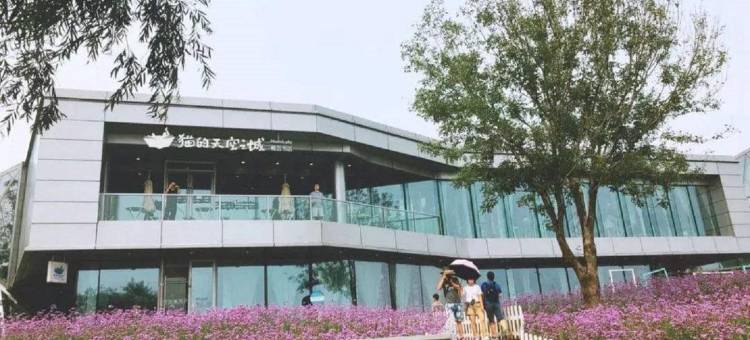 蔚蓝亲子民宿(华贸一路分店)图片