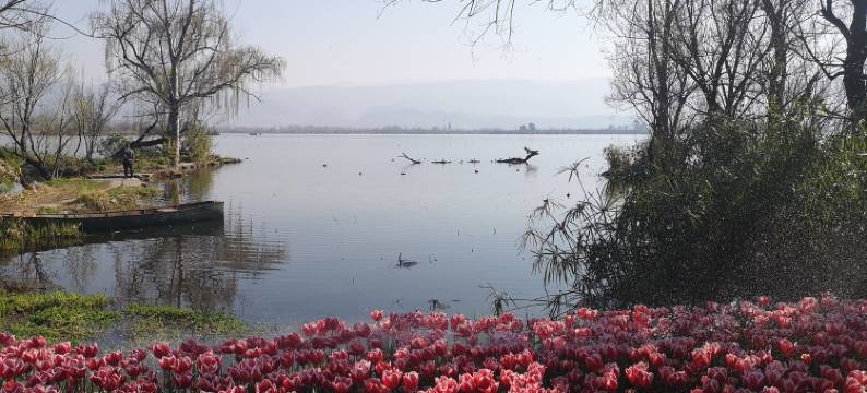 邛海湿地听涛小镇景区房民宿(泸山路分店)图片