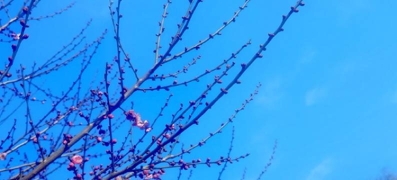 新郑轩辕客栈(宝相寺升达大学店)图片