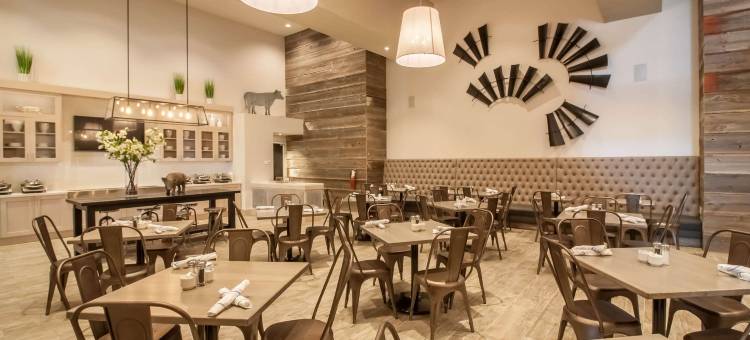 雷诺沃酒店(Hotel Renovo des Moines Urbandale, Tapestry Collection by Hilton)图片