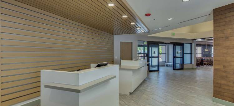 菲尼克斯斯科茨代尔希尔顿逸林酒店(DoubleTree by Hilton Phoenix Chandler)图片