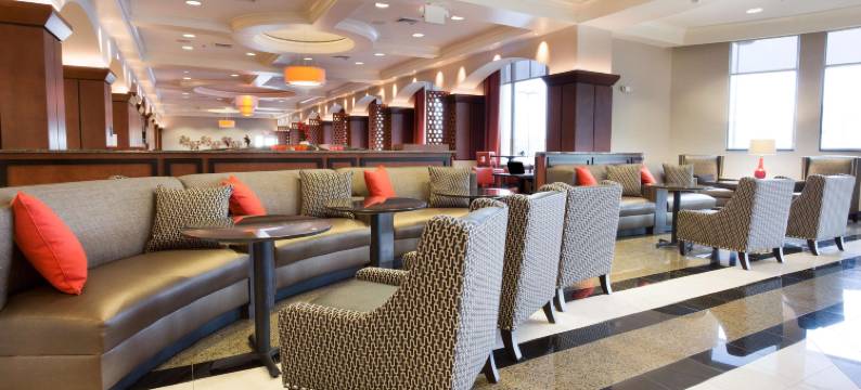 印第安纳波利斯-卡梅尔德鲁里广场酒店(Drury Plaza Hotel Indianapolis Carmel)图片