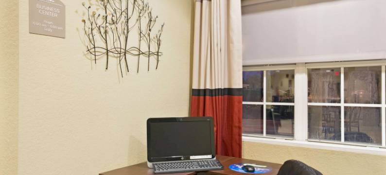 布什内尔温德姆麦客达套房酒店(Microtel Inn & Suites by Wyndham Bushnell)图片