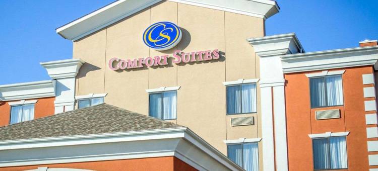 舒适套房酒店(Comfort Suites)图片