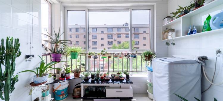 丽姐两室两厅一厨一卫民宿(新裕路分店)图片