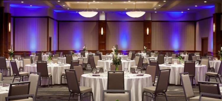 明尼阿波利斯公园广场希尔顿逸林酒店(DoubleTree by Hilton Minneapolis-Park Place)图片