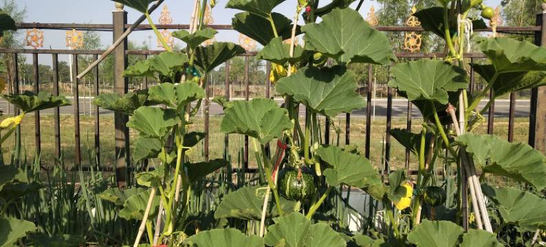 天路小别墅(后洗公路分店)图片