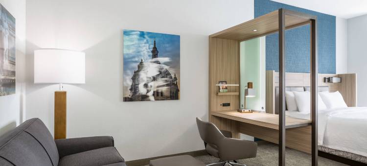 圣保罗市中心SpringHill Suites酒店(SpringHill Suites St. Paul Downtown)图片