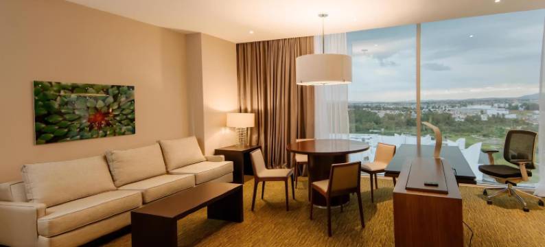 墨西哥普埃布拉安荷洛波里斯希尔顿花园酒店(Hilton Garden Inn Puebla Angelópolis)图片