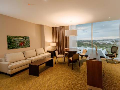 墨西哥普埃布拉安荷洛波里斯希尔顿花园酒店(Hilton Garden Inn Puebla Angelópolis)