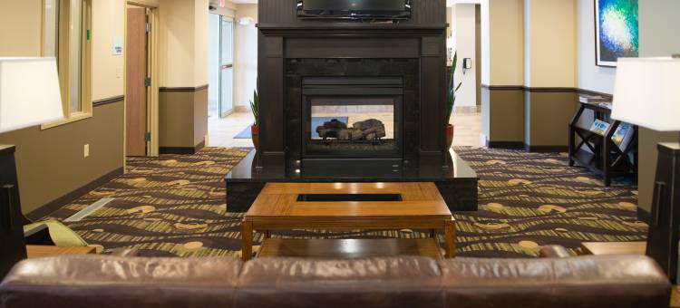 智选假日套房酒店诺斯伍德(Holiday Inn Express & Suites NORTHWOOD by IHG)图片