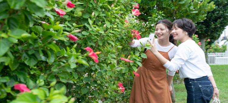 那霸王子智能旅馆(Prince Smart Inn Naha)图片